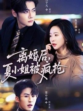 离婚后夏小姐被疯抢
